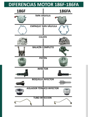 DIFERENCIAS 2_Mesa de trabajo 1 copia 17